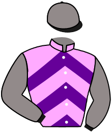 Casaque du n°4 — CREW DRAGON