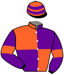 Casaque du n°3 — MAGIC PARK