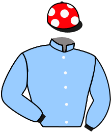 Casaque du n°4 — FAIN WOULD