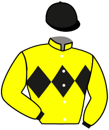 Casaque du n°1 — IL MAGISTERO