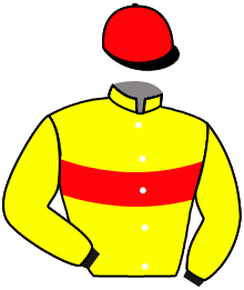 Casaque du n°7 — PRINCESS ALMA