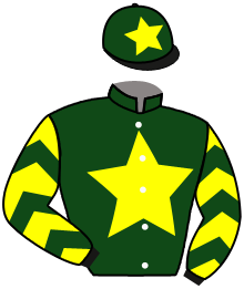 Casaque du n°11 — PRINCESS SPIGAO