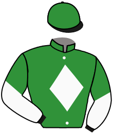 Casaque du n°13 — COUNSELOR