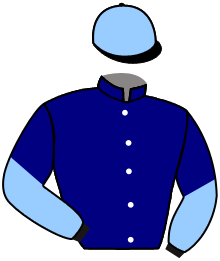 Casaque du n°2 — GWADA CONCEPT