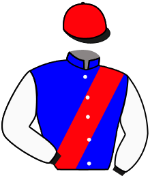 Casaque du n°5 — HARLEQUIN SKY