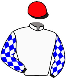 Casaque du n°6 — MAGNESIUM