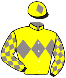 Casaque du n°11 — SAYTARR