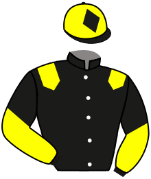 Casaque du n°12 — ATA RANGI
