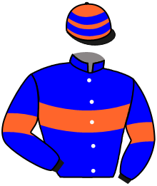 Casaque du n°13 — AALTO