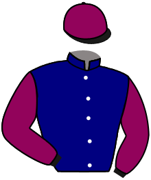 Casaque du n°15 — PHILANTHROPIST