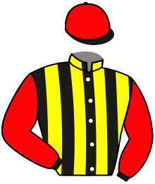 Casaque du n°5 — WURTTEMBERG