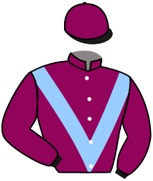 Casaque du n°10 — OHARA