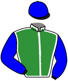 Casaque du n°12 — GREEN FALCON