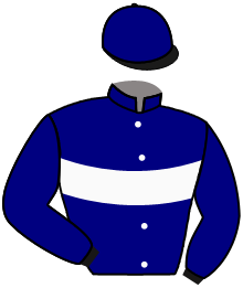 Casaque du n°14 — SIR GRIFLET