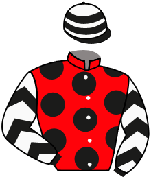 Casaque du n°2 — PRIMO LARA