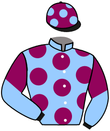 Casaque du n°2 — CROWN BOARD