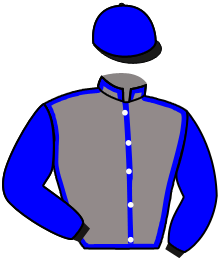 Casaque du n°5 — GRIZEDALE
