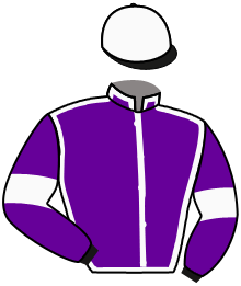Casaque du n°7 — HICKORY