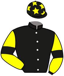 Casaque du n°9 — SALAM DUBAWI