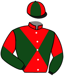 Casaque du n°10 — SIR YOSHI