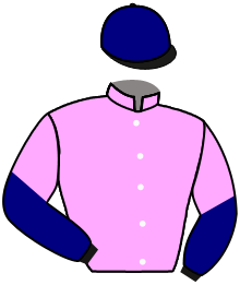 Casaque du n°11 — EMPEROR SPIRIT