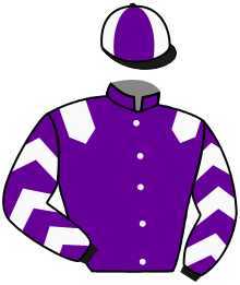Casaque du n°3 — PILGRIM