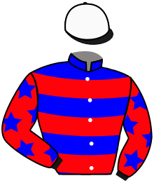 Casaque du n°4 — BOLO NEIGHS