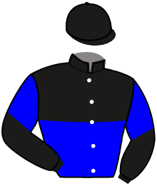 Casaque du n°12 — IDEAL SAN LEANDRO