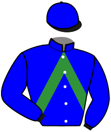 Casaque du n°5 — FIRST LADY BLEUE