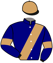 Casaque du n°8 — IDEAL DANCER