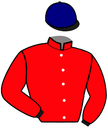 Casaque du n°10 — LADY DU CHENE