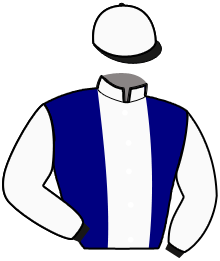 Casaque du n°3 — LOTHBROCK