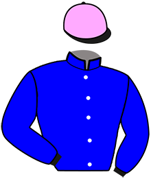 Casaque du n°7 — KOUGAR DE SIMM
