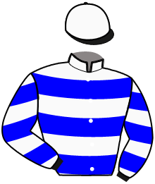 Casaque du n°2 — MINK BOKO