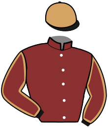 Casaque du n°4 — NEMROD GEDE