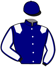 Casaque du n°5 — NELSON DE GUELLE