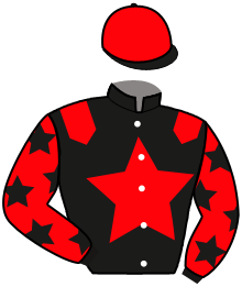 Casaque du n°8 — NINO DU CAP
