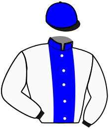Casaque du n°9 — IDAHODARCHE