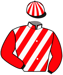 Casaque du n°2 — NIKITA DU MOUTHIEU