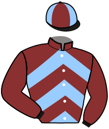 Casaque du n°3 — NOTTINGEN