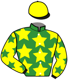 Casaque du n°11 — MUST DE VILLARD