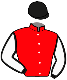 Casaque du n°6 — MISTER CARNOIS