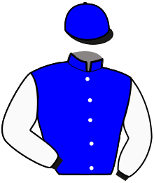 Casaque du n°13 — FAHARAJAH ONE