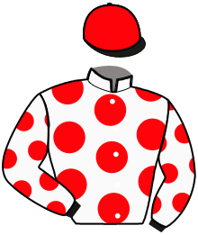Casaque du n°1 — GAMIN DU GAULTIER
