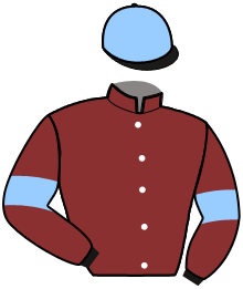 Casaque du n°14 — INFIEL