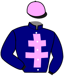 Casaque du n°2 — KANTO AVIS