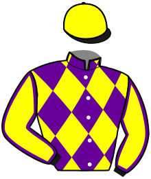 Casaque du n°3 — METIDJA