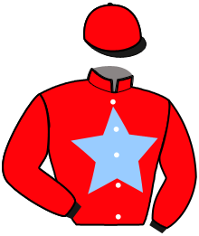 Casaque du n°12 — GALION