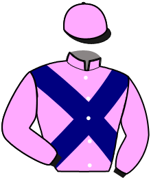 Casaque du n°14 — IGO CLEA