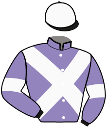 Casaque du n°15 — HORS BORD